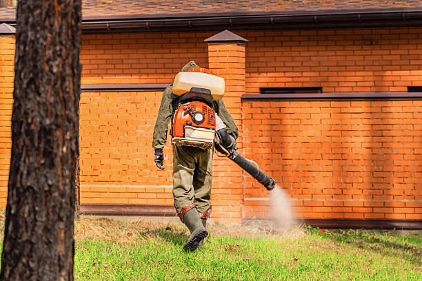Trusted Mosquito Control service in Summer Set, MO - Nex Pest Control